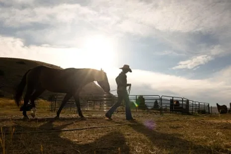Get to Know the American Female Ranchers Redefining Modern Farm Life